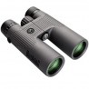 Prismáticos BUSHNELL NatureView 8x42